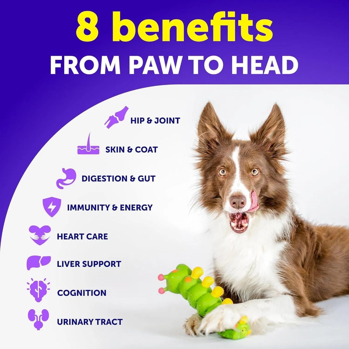 Dog Multivitamin Chewable With Glucosamine 20 In 1 Dog Vitamins